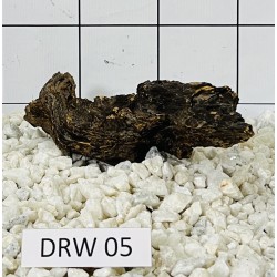 Dragonwood 05