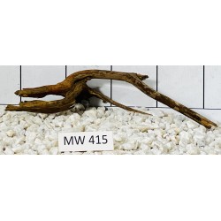 Mangrovewood 415