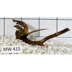Mangrovewood 415