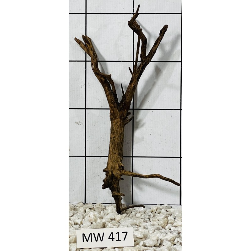 Mangrovewood 417