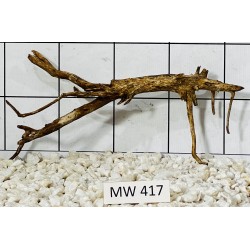 Mangrovewood 417