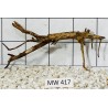 Mangrovewood 417