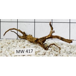 Mangrovewood 417