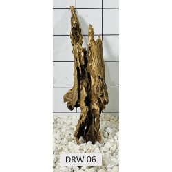 Dragonwood 06