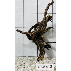 Mangrovewood 418