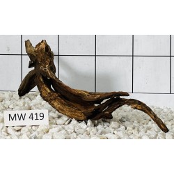Mangrovewood 419