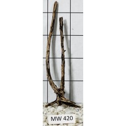 Mangrovewood 420
