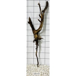 Mangrovewood 421