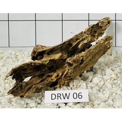 Dragonwood 06