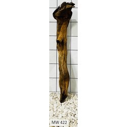 Mangrovewood 422