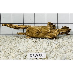 Dragonwood 06