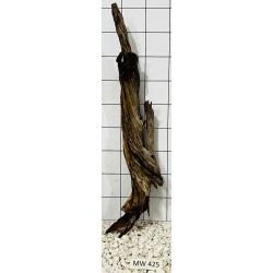 Mangrovewood 425