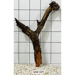 Mangrovewood 429