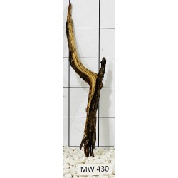 Mangrovewood 430