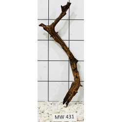 Mangrovewood 431
