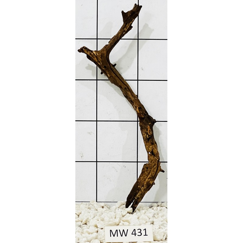 Mangrovewood 431