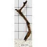 Mangrovewood 431