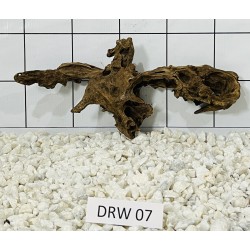 Dragonwood 07