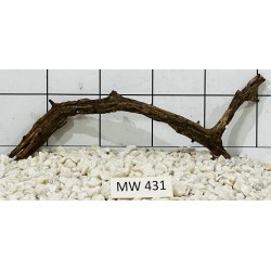 Mangrovewood 431