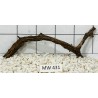 Mangrovewood 431