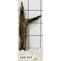 Mangrovewood 433