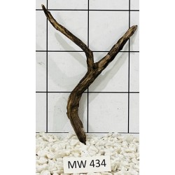 Mangrovewood 434