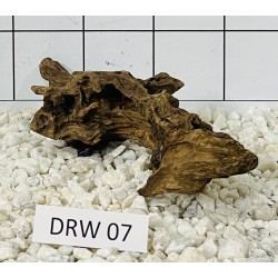 Dragonwood 07