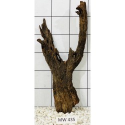 Mangrovewood 435