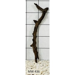 Mangrovewood 436