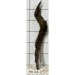 Bogwood 218