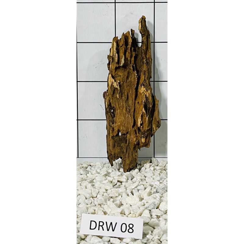 Dragonwood 08