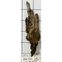 Bogwood 221
