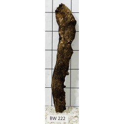 Bogwood 222