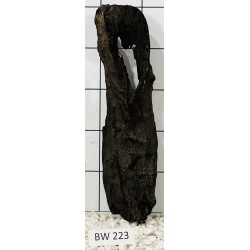 Bogwood 223