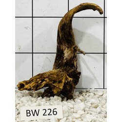 Bogwood 226