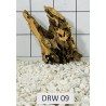 Dragonwood 09