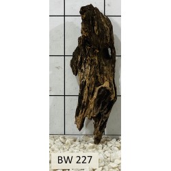 Bogwood 227