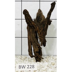 Bogwood 228
