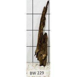 Bogwood 229