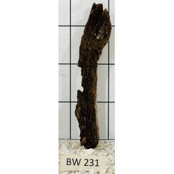 Bogwood 231