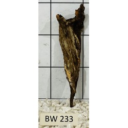 Bogwood 233