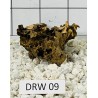 Dragonwood 09
