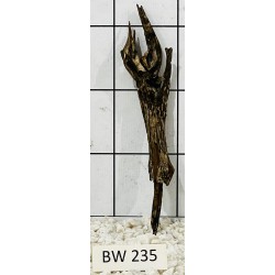 Bogwood 235