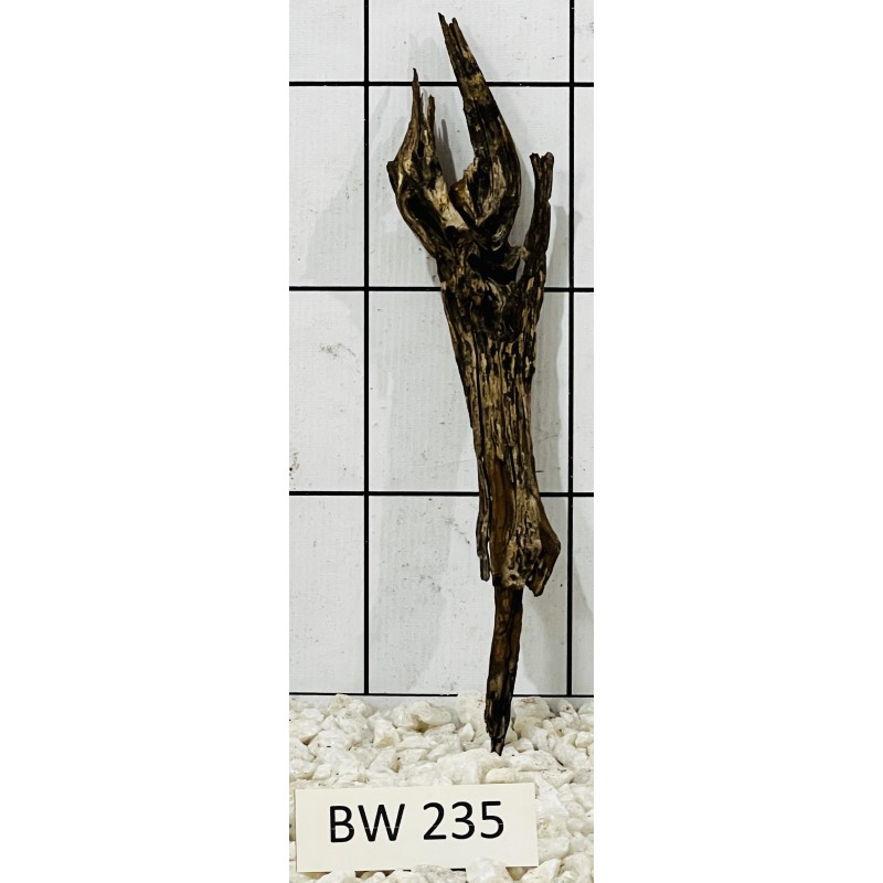Bogwood 235