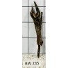 Bogwood 235