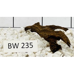 Bogwood 235