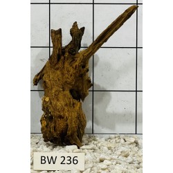 Bogwood 236