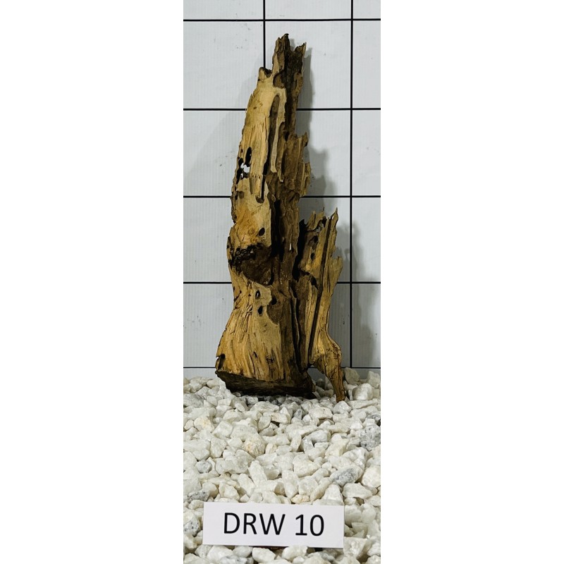 Dragonwood 10