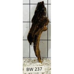 Bogwood 237