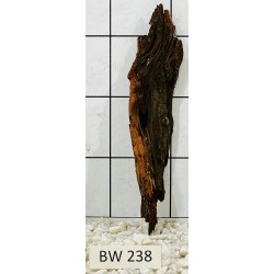 Bogwood 238